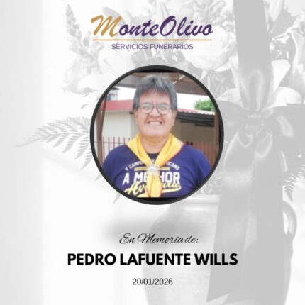 PEDRO LAFUENTE WILLS