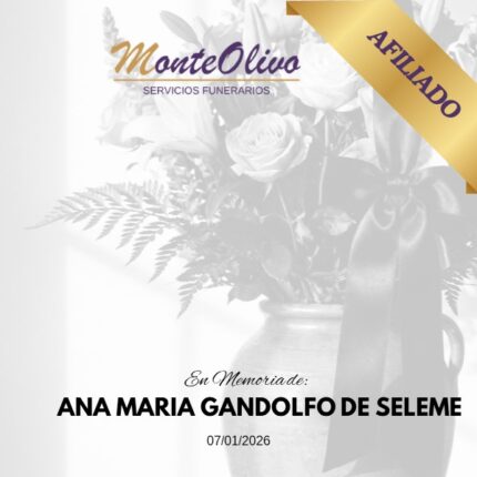 ANA MARIA GANDOLFO VDA DE SELEME