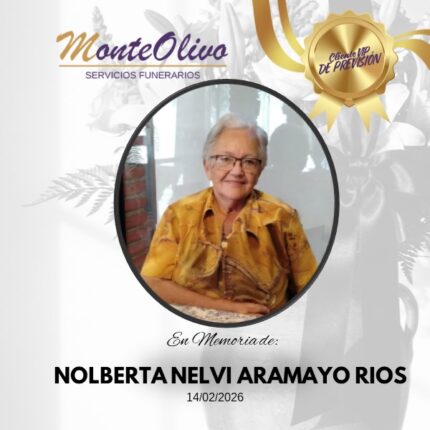 NOLBERTA NELVI ARAMAYO RIOS