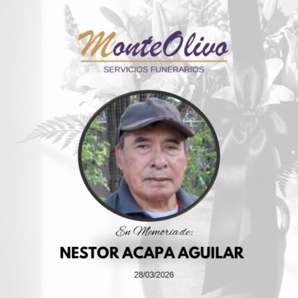 NESTOR ACAPA AGUILAR