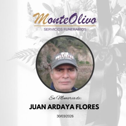 JUAN ARDAYA FORES