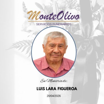 LUIS LARA FIGUEROA
