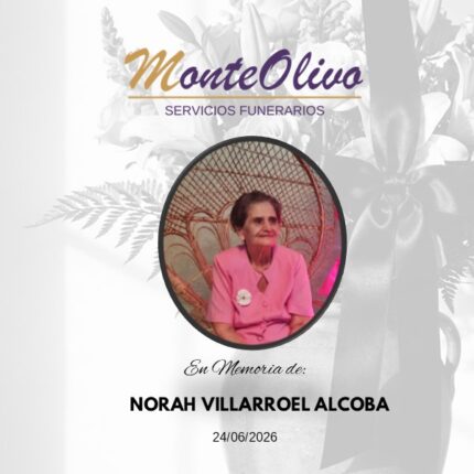 NORAH VILLARROEL ALCOBA