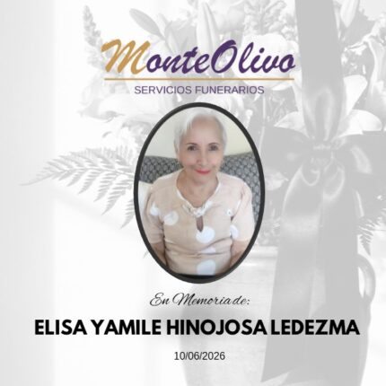 ELISA YAMILE HINOJOSA LEDEZMA