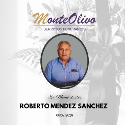 ROBERTO MENDEZ SANCHEZ