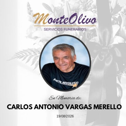 CARLOS ANTONIO VARGAS MERELLO