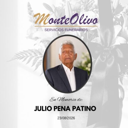 JULIO PEÑA PATIÑO