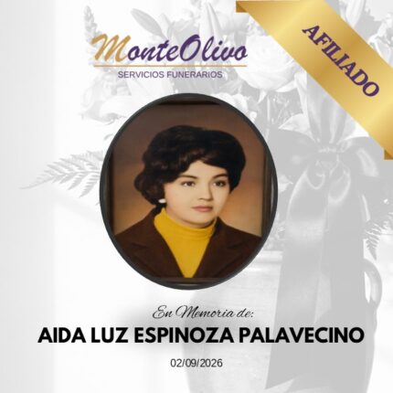 AIDA LUZ ESPINOZA PALAVECINO
